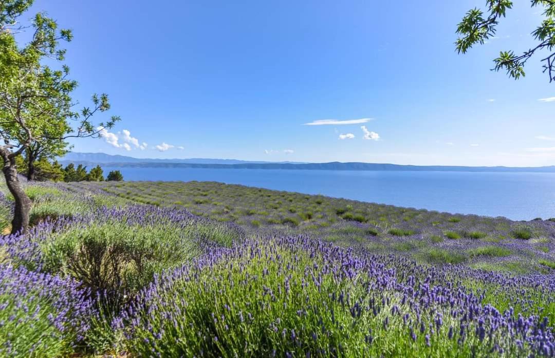 Sea View Ela Apartments Podgora Kültér fotó