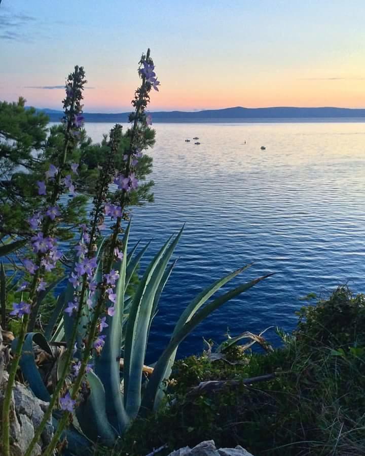 Sea View Ela Apartments Podgora Kültér fotó